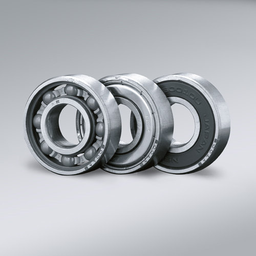 Bearings for Corrosive Environments