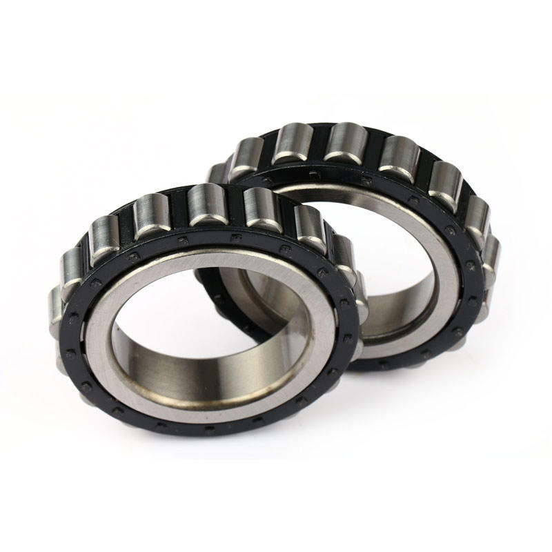 RN309 cylindrical roller bearing single row roller bearing