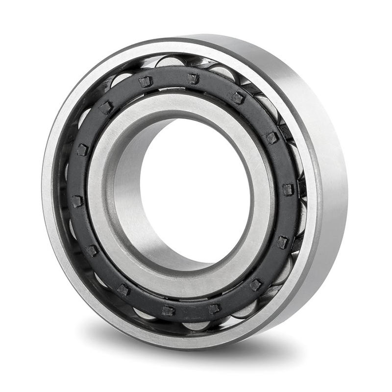 cylindrical roller bearing NU 1021