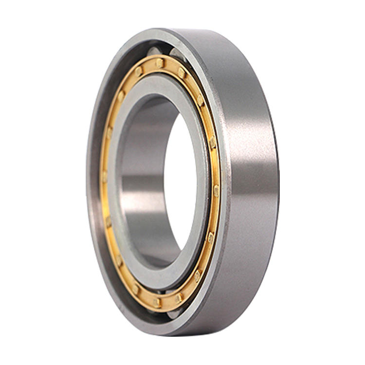 Reducer Eccentric Cylindrical Roller Bearings