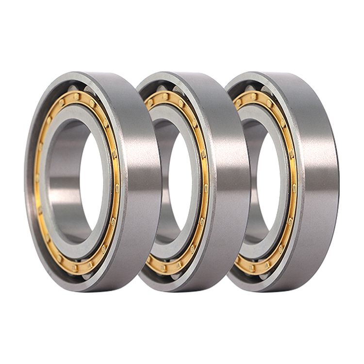 Reducer Eccentric Cylindrical Roller Bearings