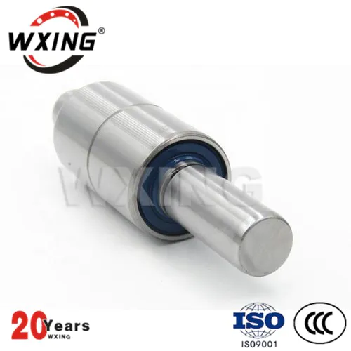 The automobile water Pump Bearing