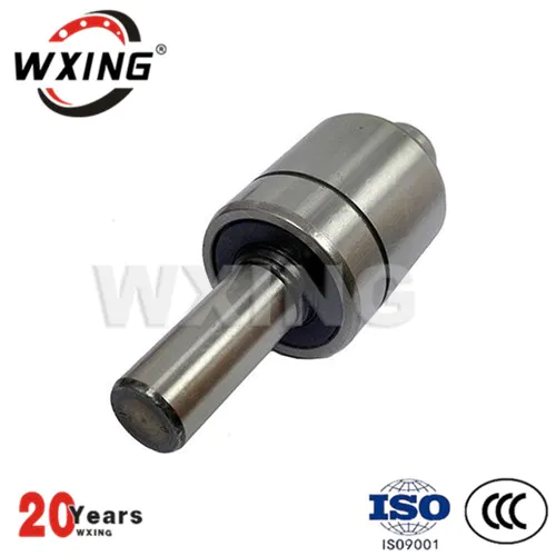 The automobile water Pump Bearing