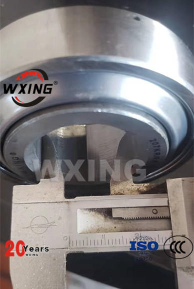 G102010/207KRRB12 WXING Bearing