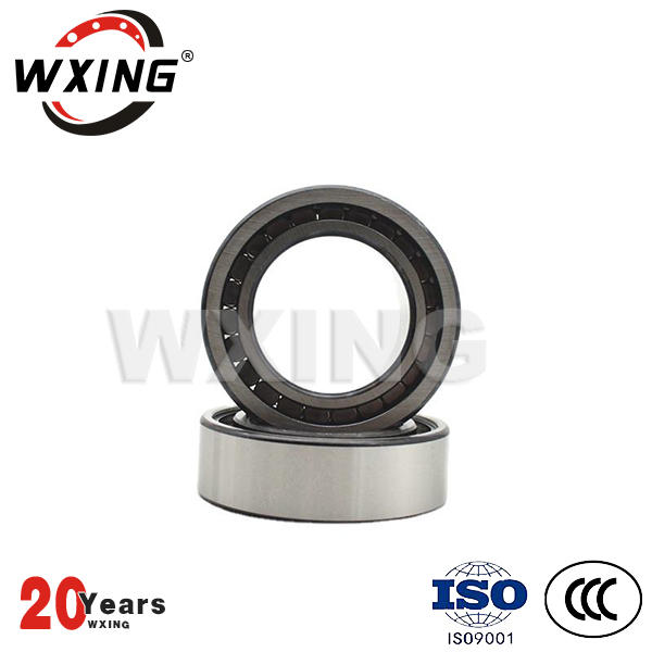 SL series Full Complement Cylindrical Roller Bearing SL182205