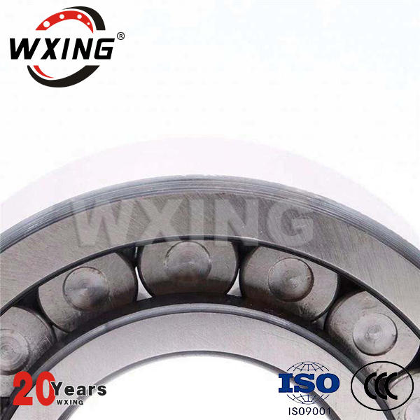 SL series Full Complement Cylindrical Roller Bearing SL182205