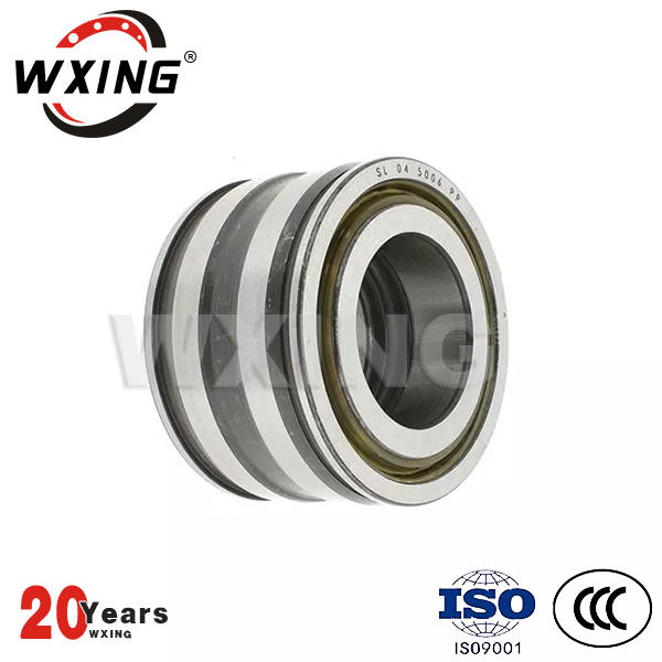 SL045005-D-PP cylindrical roller bearing SL types full complement