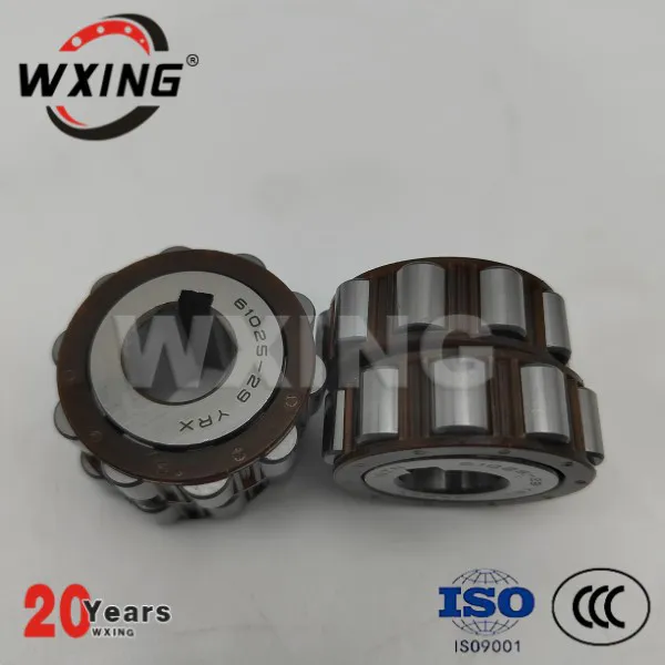 61025-29 YRX Eccentric bearing No outer ring, cylindrical roller bearing