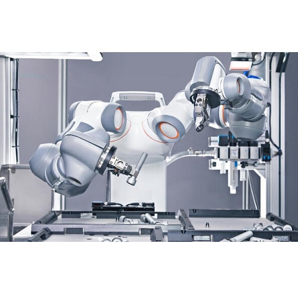 What types of robot bearings include