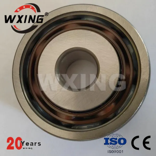 deep groove ball bearing DG176221 with nylon cage