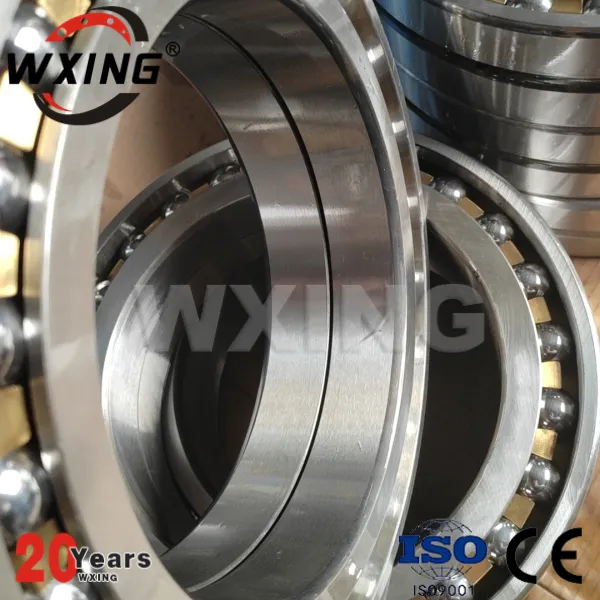 305262D Double row angular contact ball bearing with two-piece inner ring and relubrication feature