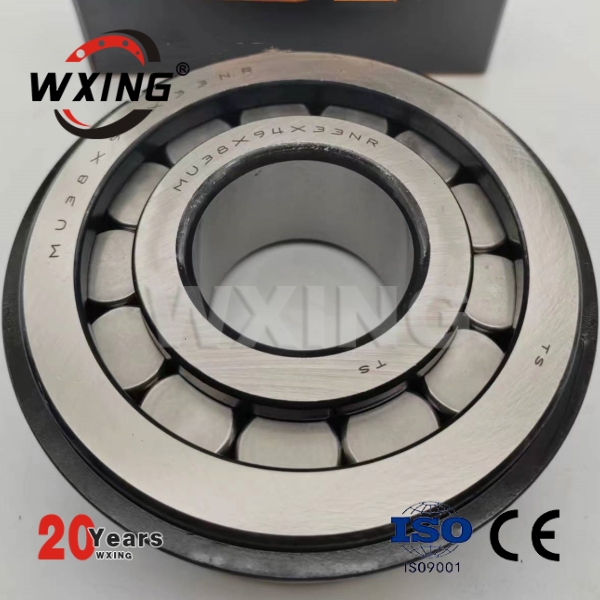 MU38*94*33NR Cylindrical Roller Bearings with circlip
