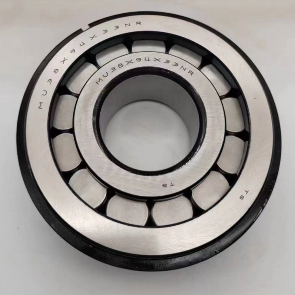 MU38*94*33NR Cylindrical Roller Bearings with circlip