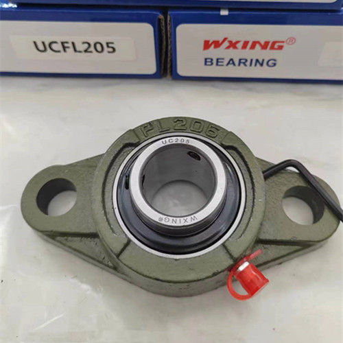 Two bolts High Quality Cast iron  Pillow Block Bearing from Chinese factory UCFL204 UCFL205 UCFL206 UCFL207